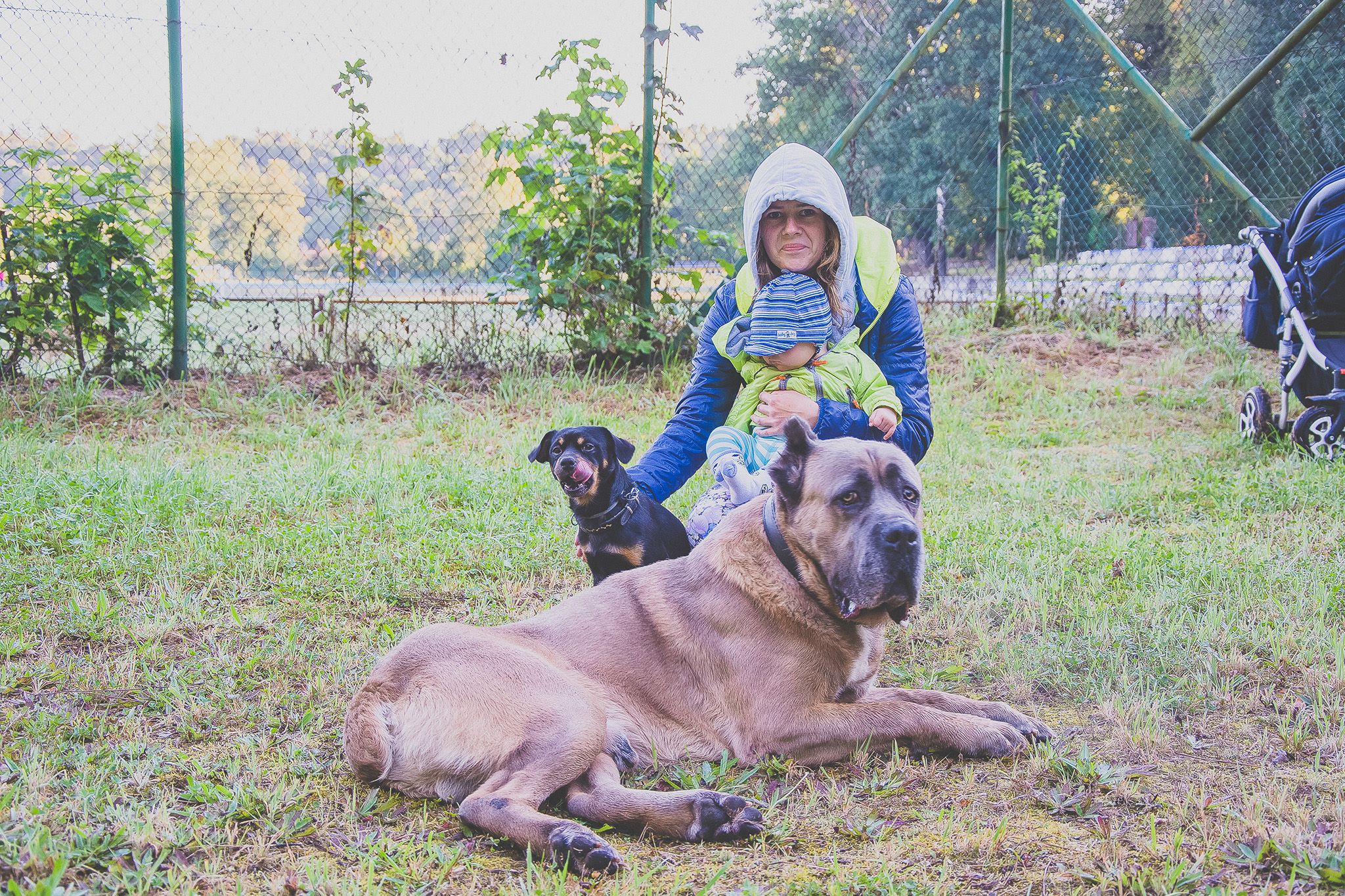 pozdrowienia przesyła Parys